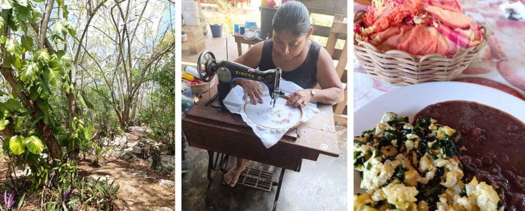 qué hacer y qué ver en Mexico